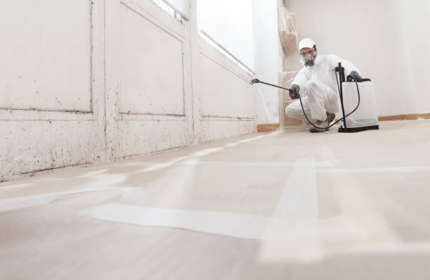 24/7 Emergency Mold Remediation experts in White Hall, IL